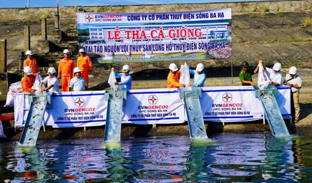cong-ty-song-ba-ha-tha-ca-giong-tai-tao-nguon-loi-thuy-san-tai-long-ho-thuy-dien